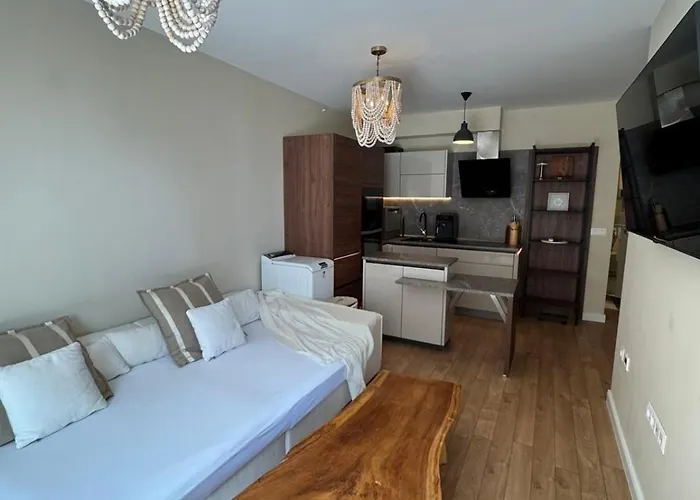 The Portal Infinity Pool And Barbecue Apartment Warna