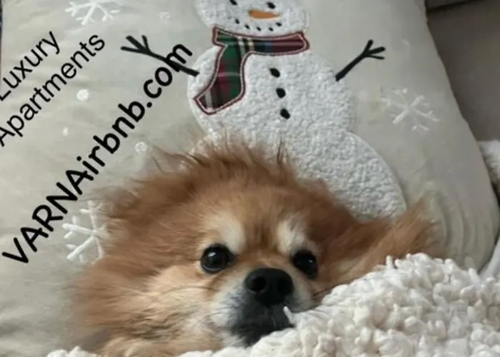 The Portal Infinity Pool And Barbecue *